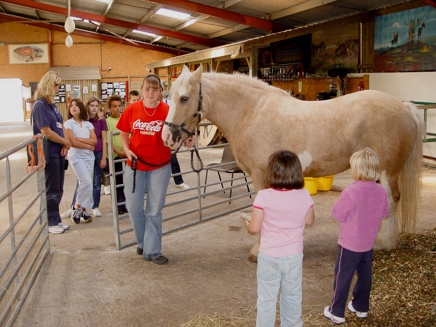 Children at an animal sanctuary petting a horse